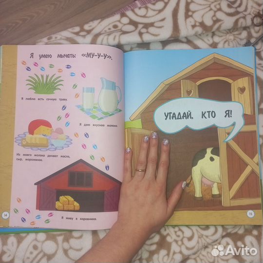 Развивашки и пособия