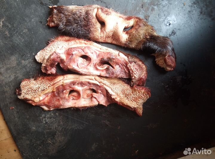 Носы говяжьи