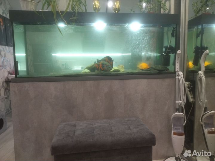 Аквариум