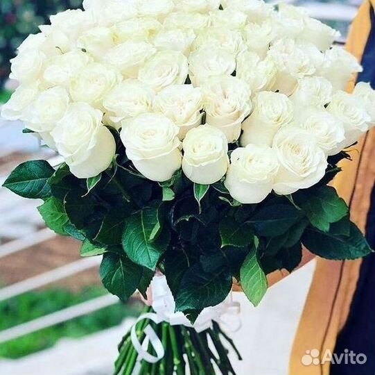 Высокие розы Гигантские розы 110