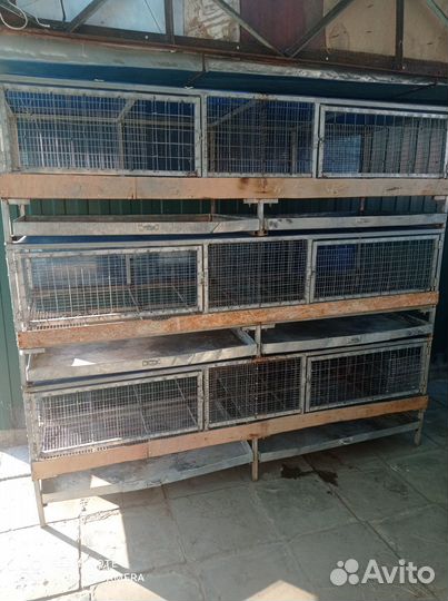 Продаю клетки для кроликов