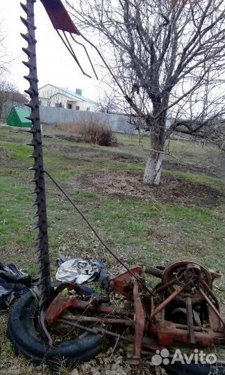 Травокоска сигментная