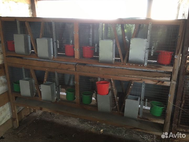 Клетки для кроликов