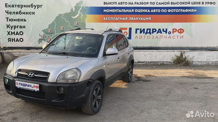 Обшивка двери задней левой Hyundai Tucson (JM) 83301-2E030