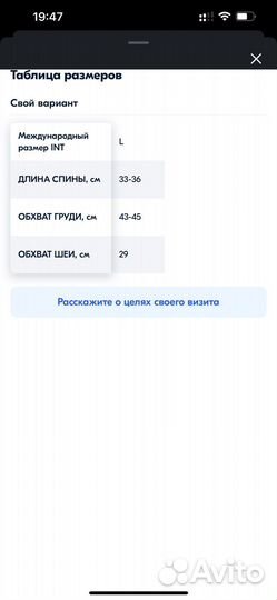 Одежда, рулетка-поводок и шлейка для собак