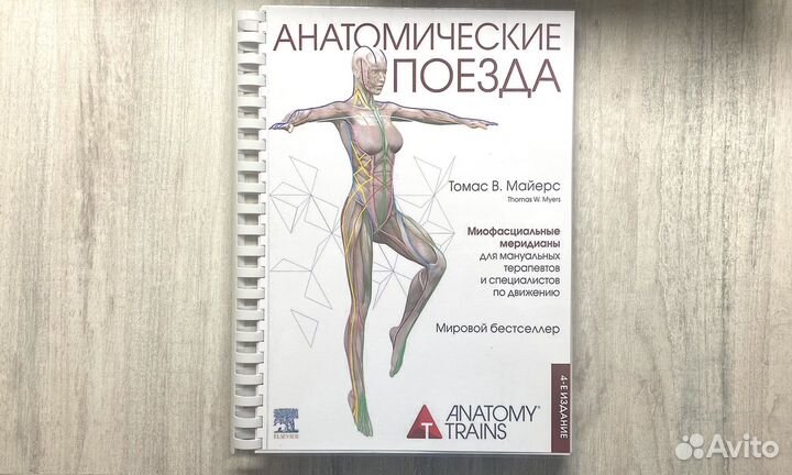 Анатомические поезда 4 издание