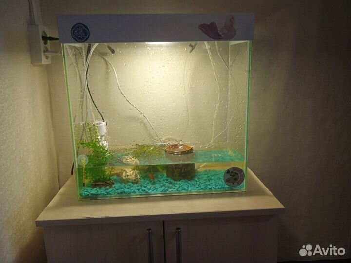 Аквариум