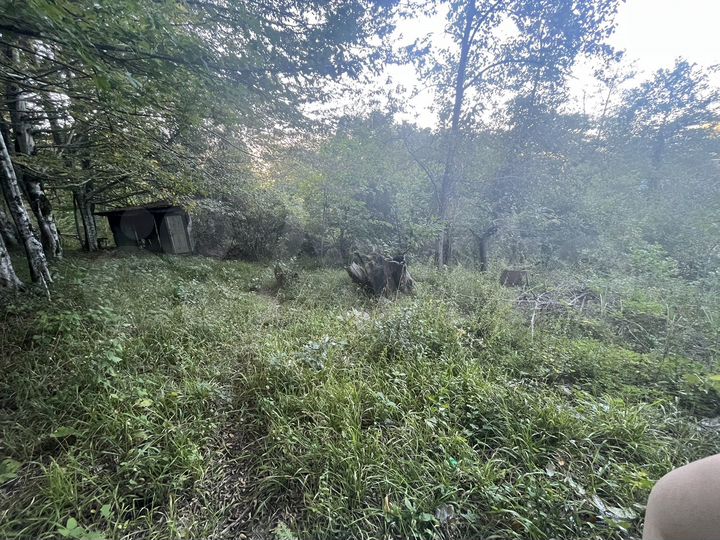 Участок 4,6 сот. (СНТ, ДНП)