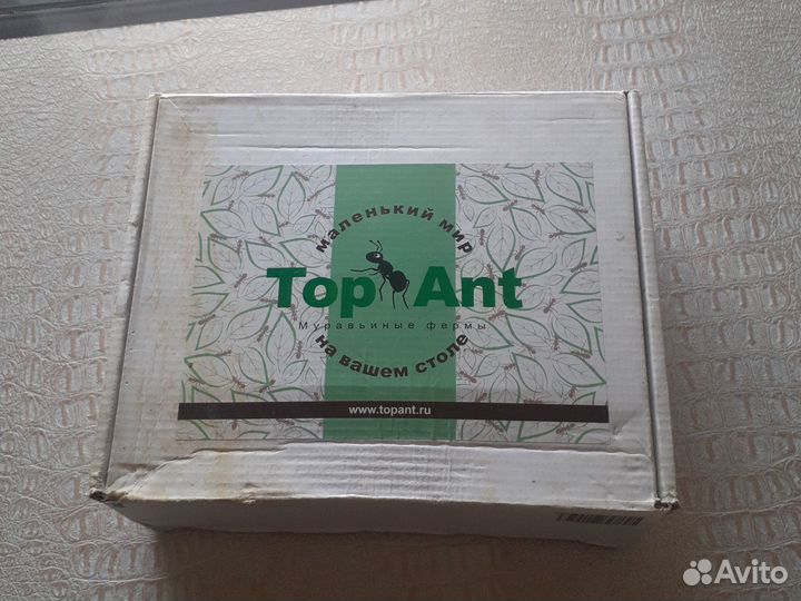 Муравьиная ферма