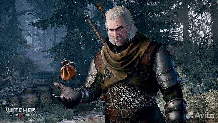 Игра The Witcher III: Wild Hunt - Game of the