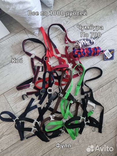 Амуниция для лошади