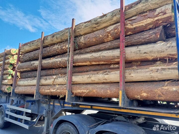 Лес кругляк пиловочник