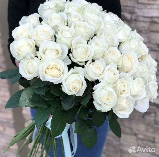 51 Роза, Букеты Цветы Розы 25 101 501 1001