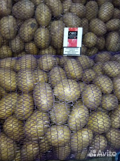 Картофель Галла