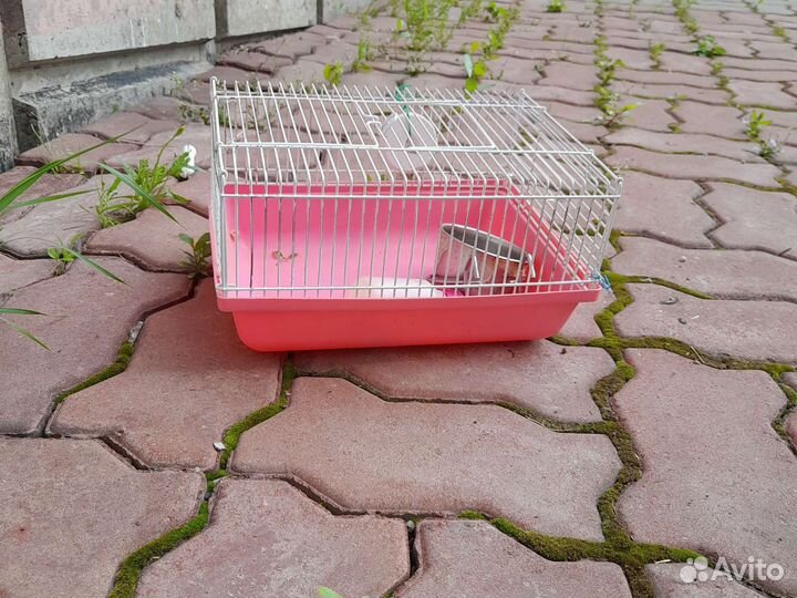 Клетка для хомяка