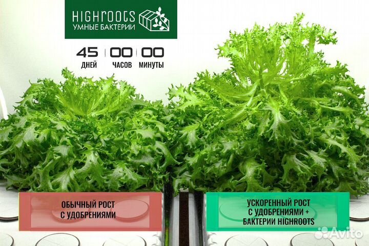 Highroots Spider Удобрение/Живые бактерии 5л