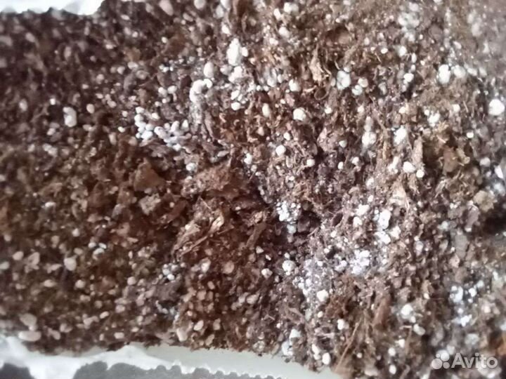 Торф верховой нейтрализованный