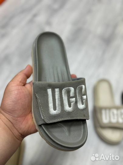 Тапочки / Шлепки Ugg Размеры 36-40