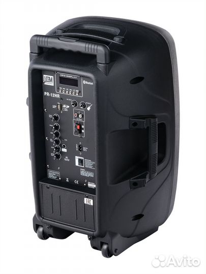 Акустическая система с 2 микрофонами