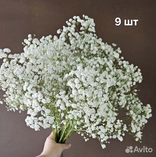 Букет из гипсофилы большой