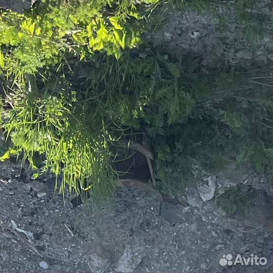 Труба бу 273х18 мм