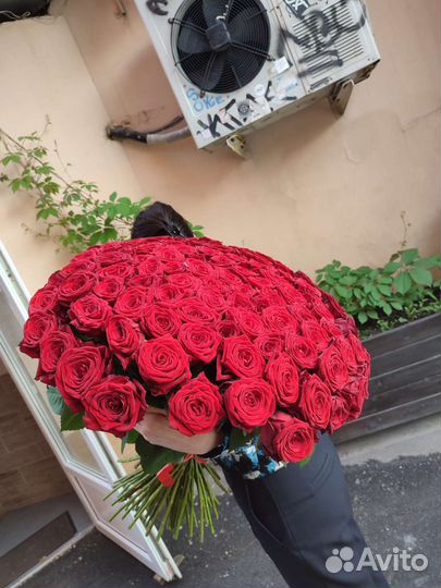 Цветы.Букет из 51 роз.Доставка Воронеж