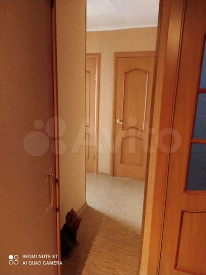 2-к. квартира, 44,8 м², 2/5 эт.