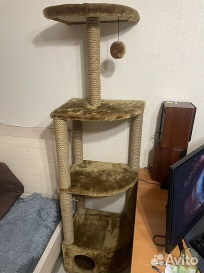 Когтеточка