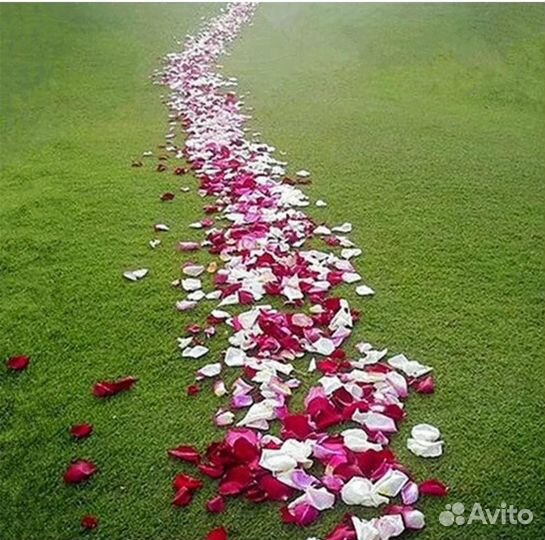 Лепестки роз сушеные и свежие