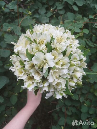 Букет невесты. Альстромерии