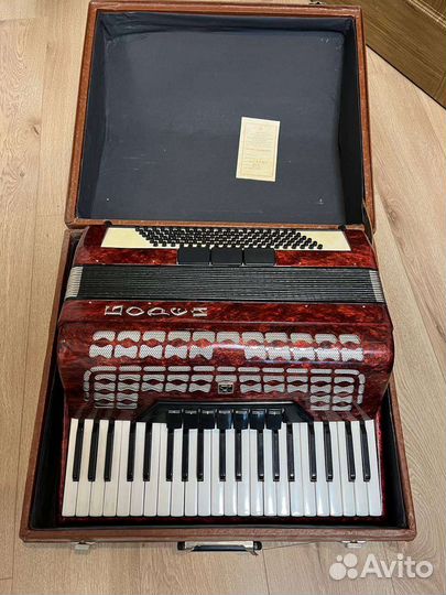 Аккордеон Борей