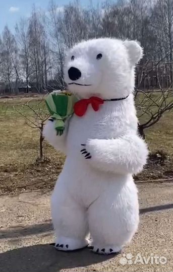 Белый мишка. Пандочка