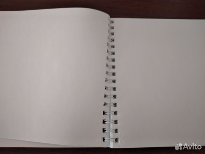 Блокнот с Леви (атака титанов)