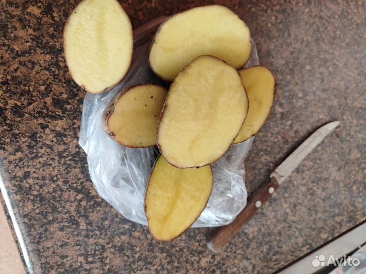 Продам картофель второй сорт. Урожай 2023