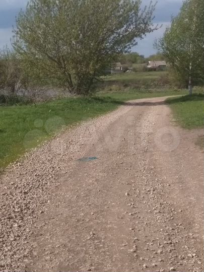 Участок 32 сот. (СНТ, ДНП)