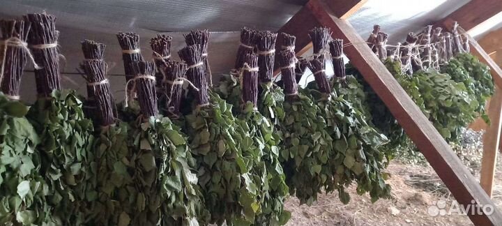 Веники для бани