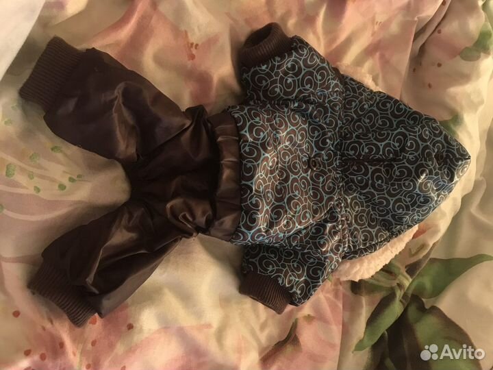 Комбинезон на собаку