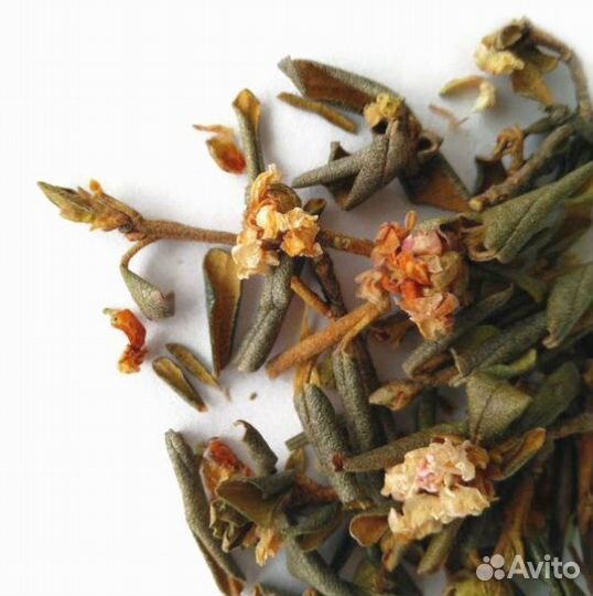 Чай Саган Дайля. Бодрость духа