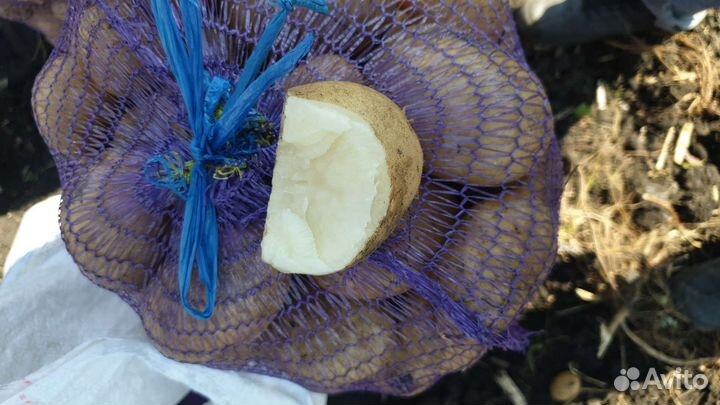 Картофель Торнадо Ластрада