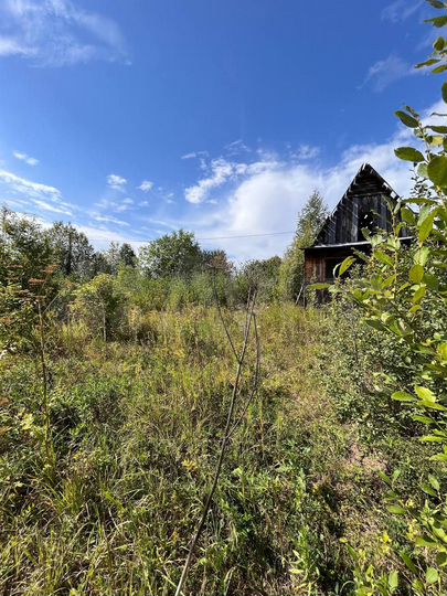 Участок 9,9 сот. (ИЖС)