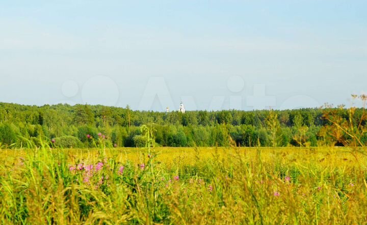 Участок 10 га (СНТ, ДНП)