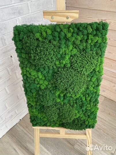 Панели из стабилизированного мха. Мы в Омске