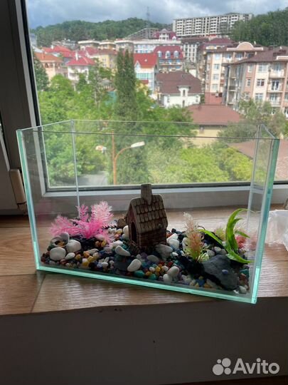 Аквариум 5л