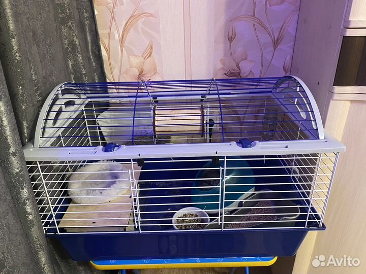 Клетка для грызунов (полный комплект)