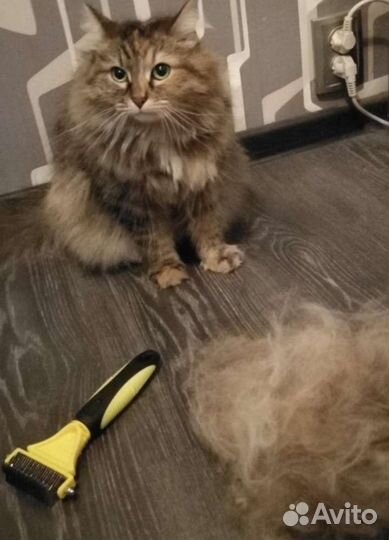 Колтунорез дешеддер