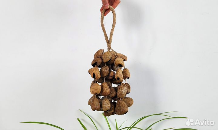 Перкуссия из орехов. Шум ручья