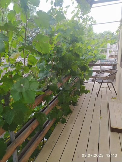 Комната 16 м² в 1-к., 2/2 эт.