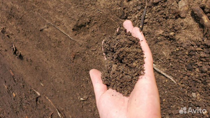 Земля плодородная