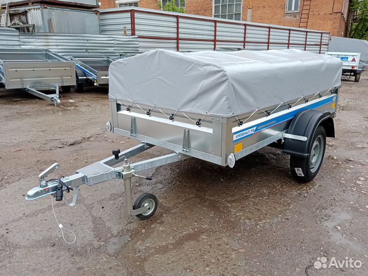 Прицеп Кремень 2.5х1.3х0.3 цинк