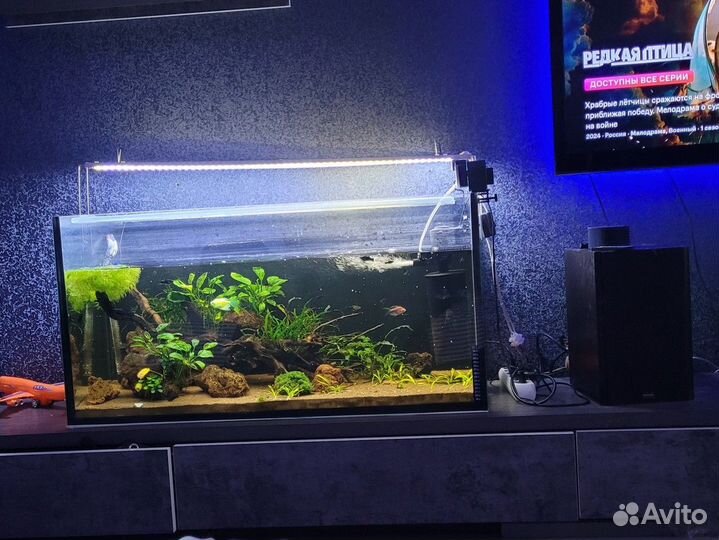 Аквариум на 200 литров